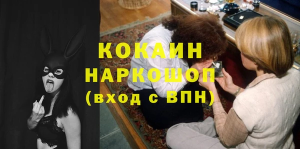 ПСИЛОЦИБИНОВЫЕ ГРИБЫ Горняк
