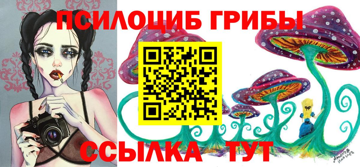 Удомля  магазин  наркотиков  Вход с VPN  Галлюциногенные грибы Psilocybine cubensis 